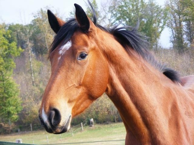 Photo de profil de amina2008