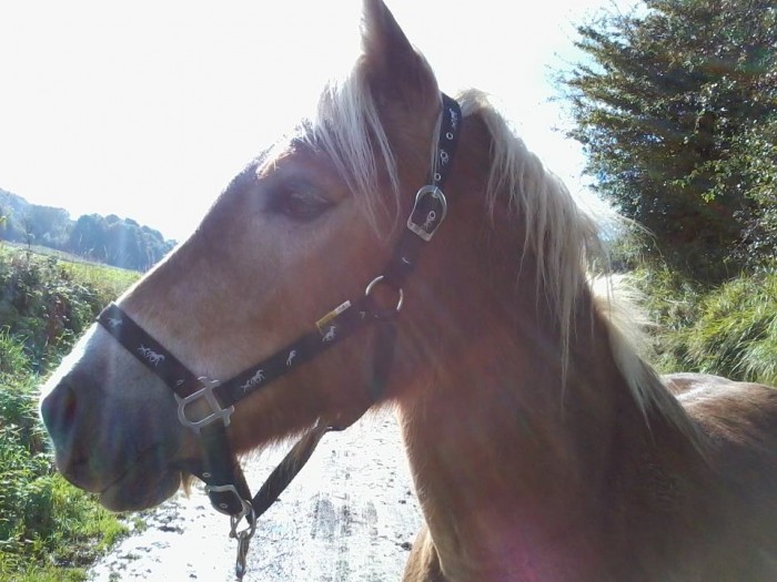 Photo de profil de netc