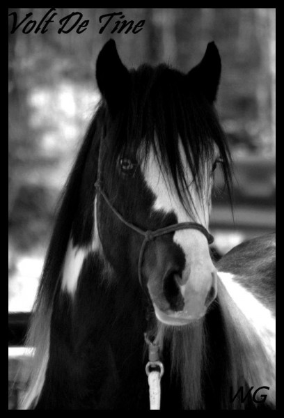 Photo de profil de roriza