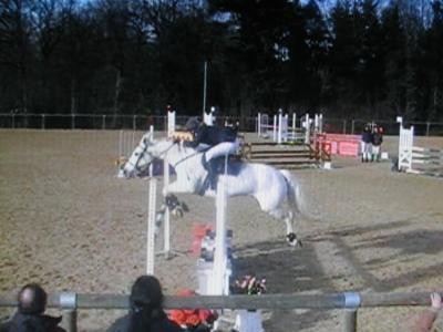 Photo de profil de virginiema