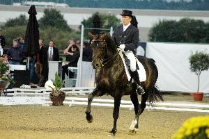 Photo de profil de le-dresseur
