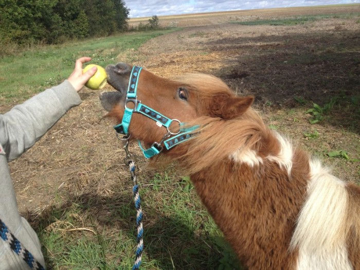 Photo de profil de shtite_poons