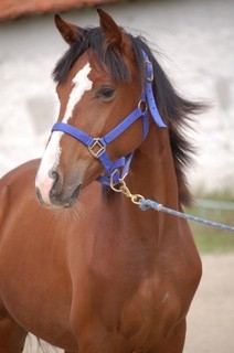 Photo de profil de neyden
