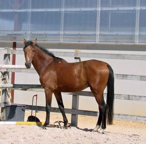 Photo de profil de bibiepauline37