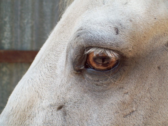 Photo de profil de galileo5656