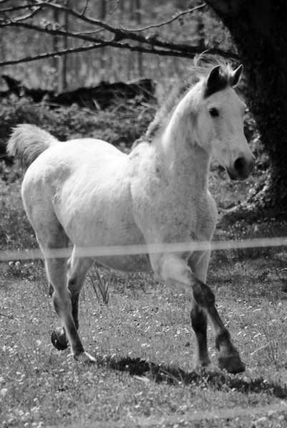 Photo de profil de barascudmarion