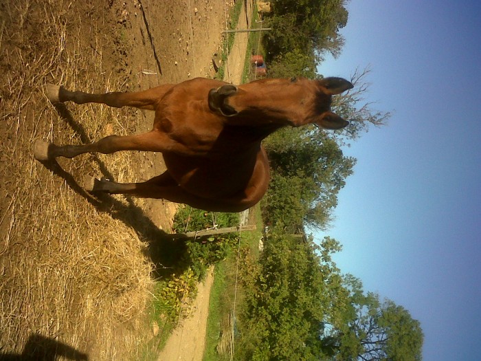 Photo de profil de laurene3000