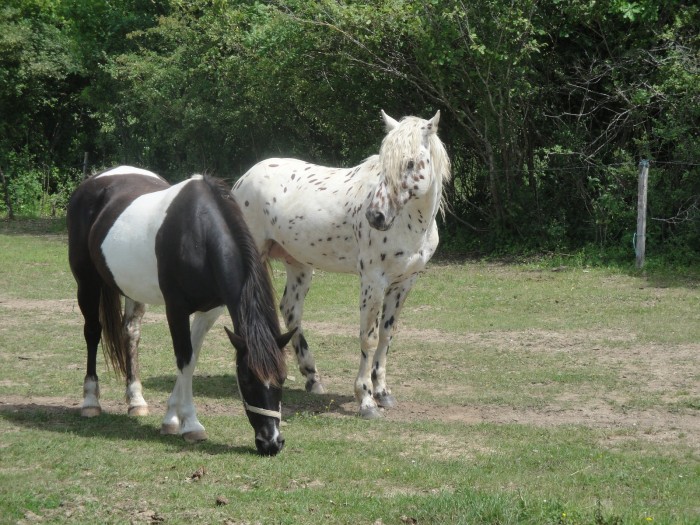 Photo de profil de daizy17240