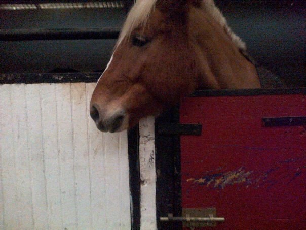 Photo de profil de tocsan59