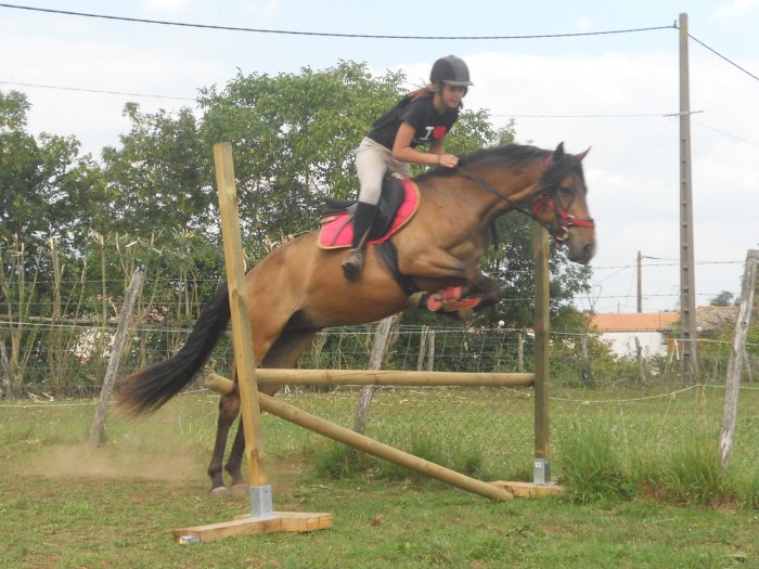 Photo de profil de undien_alcee