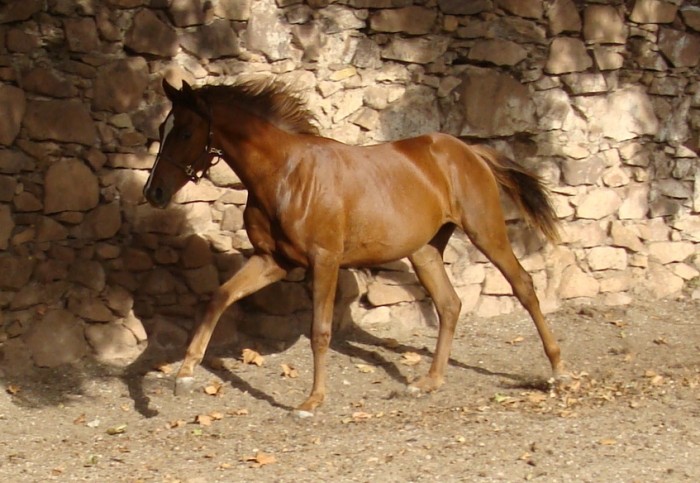 Photo de profil de encello