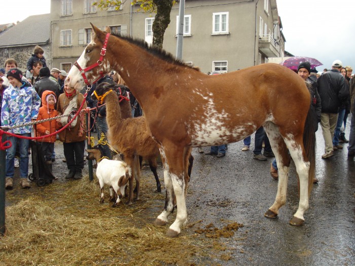 Photo de profil de mathilda4343