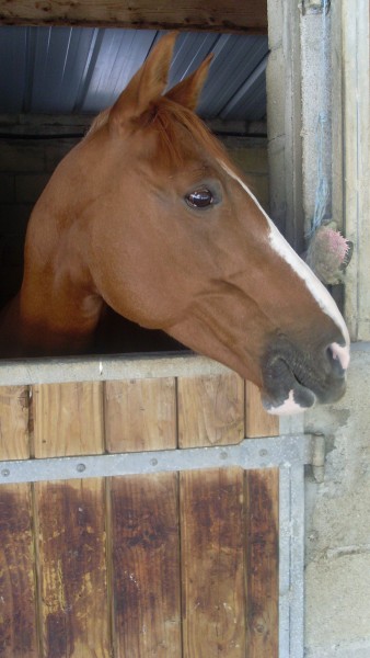 Photo de profil de glodie_cherie