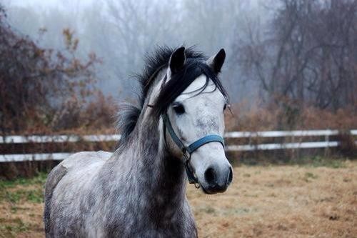 Photo de profil de elinaa