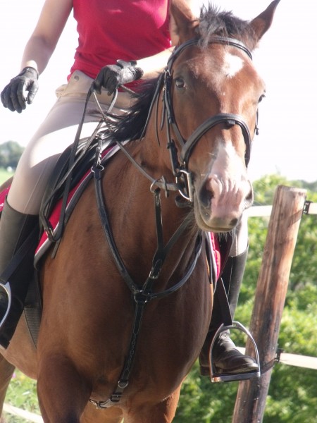 Photo de profil de sirh.59