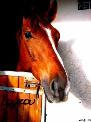 Photo de profil de quovadis45