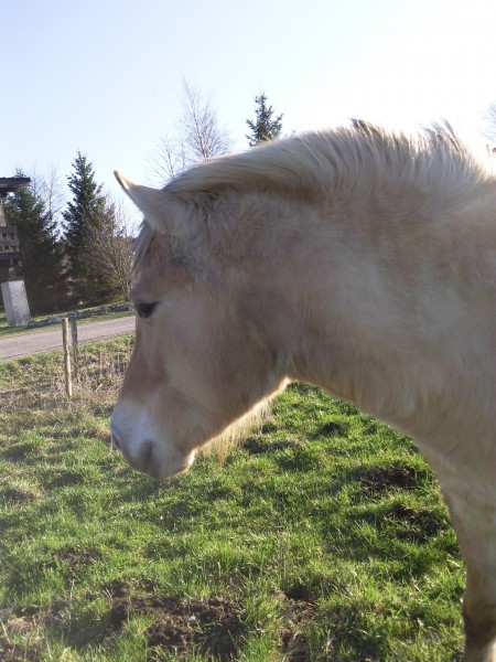 Photo de profil de vicky1208