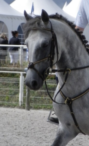 Photo de profil de morgane.au