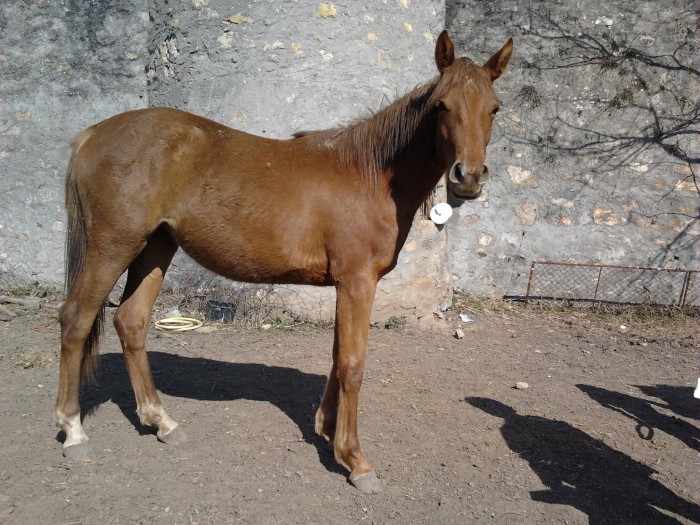 Photo de profil de minguili