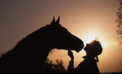 Photo de profil de vegasson