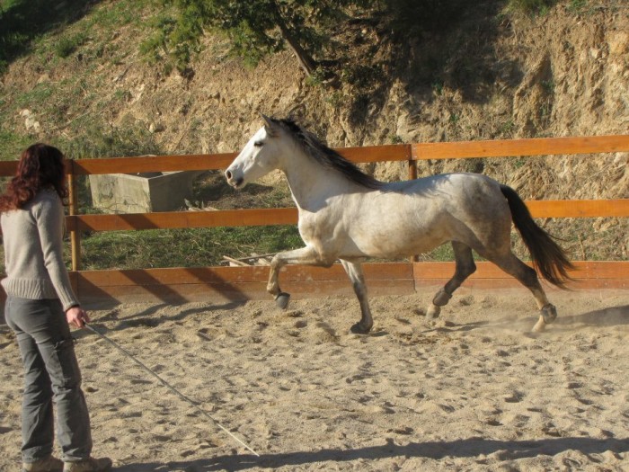 Photo de profil de lise06