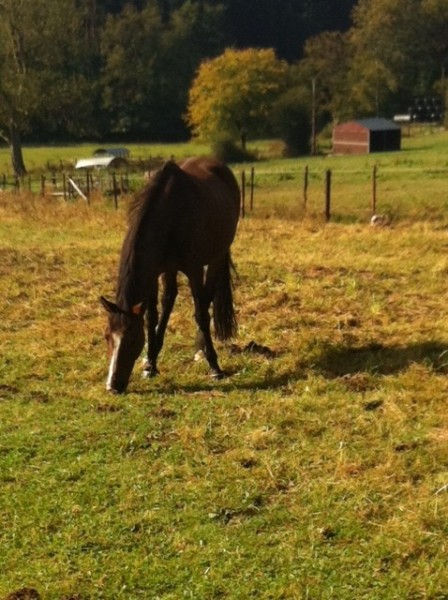Photo de profil de nalouna