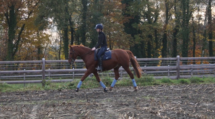 Photo de profil de gribi