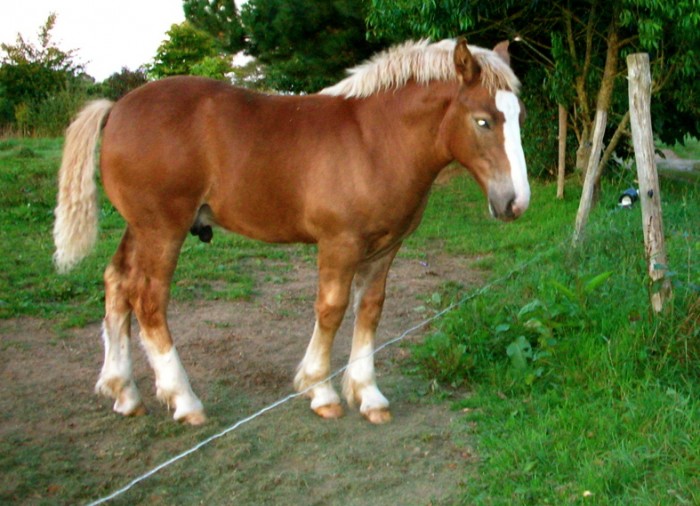 Photo de profil de gaeldemaxent