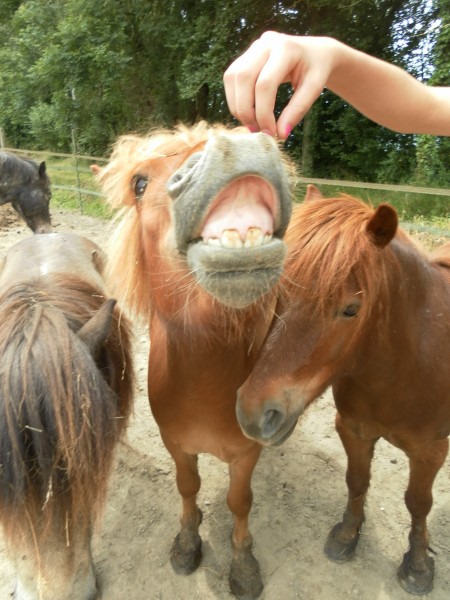 Photo de profil de tanguy18