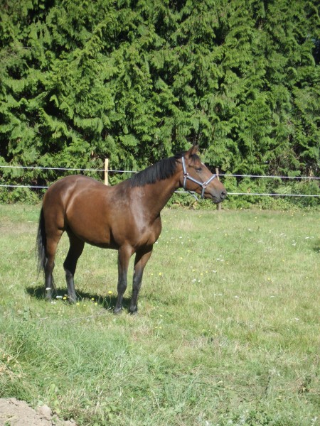 Photo de profil de lcirou