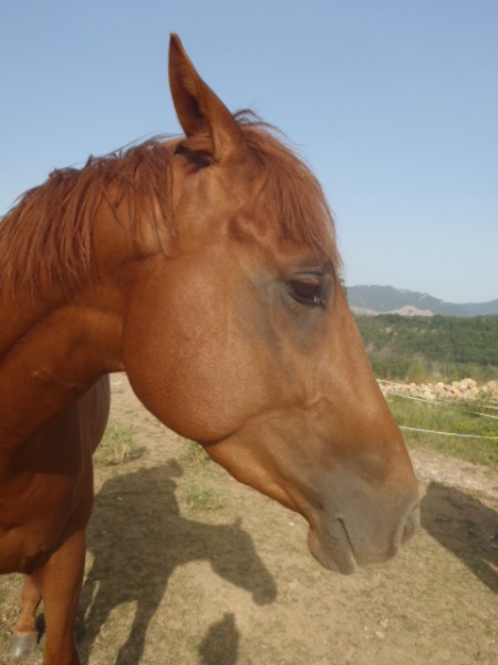 Photo de profil de lilajane