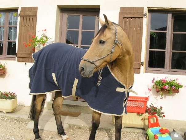 Photo de profil de melanied011