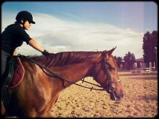 Photo de profil de charlisseldc