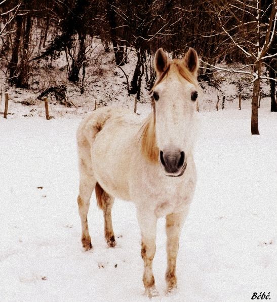 Photo de profil de cheyenneponette