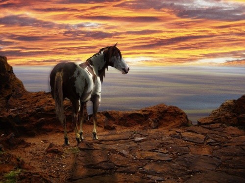 Photo de profil de lilidu78