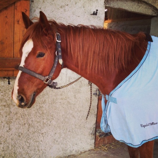 Photo de profil de vamrocq