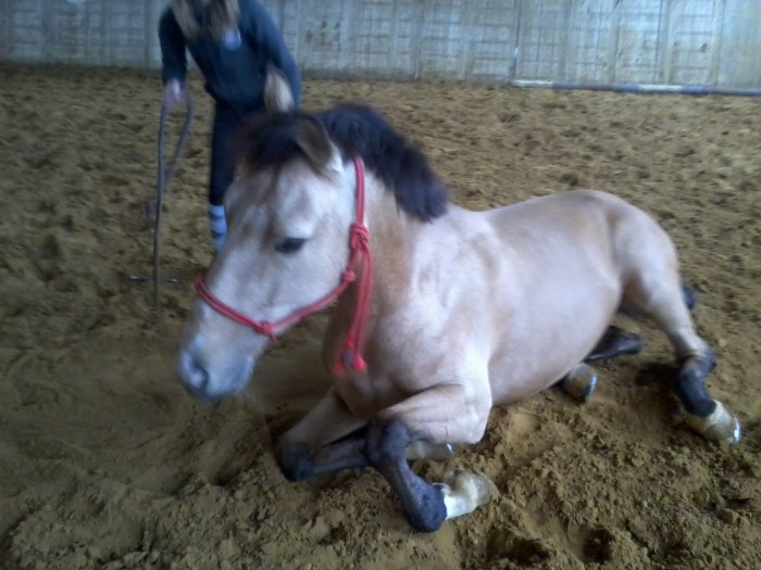 Photo de profil de emiliy