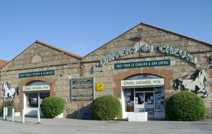 Photo de profil de universducheval