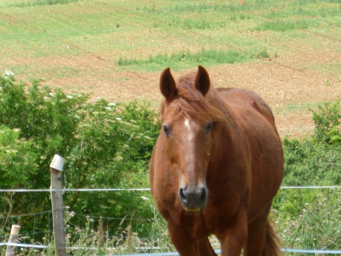 Photo de profil de dgriidou