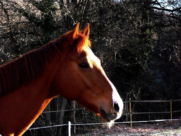 Photo de profil de mansur38