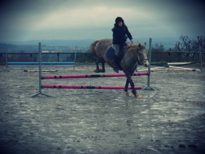 Photo de profil de aline87cheval