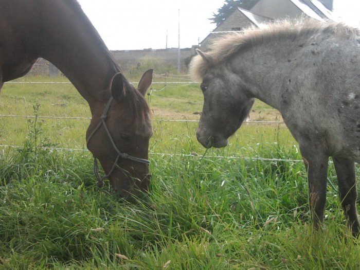 Photo de profil de laura29890