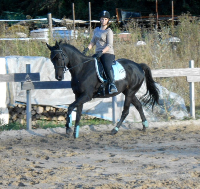 Photo de profil de pommed