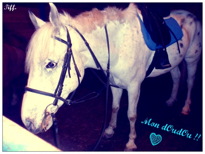 Photo de profil de tiff.horze