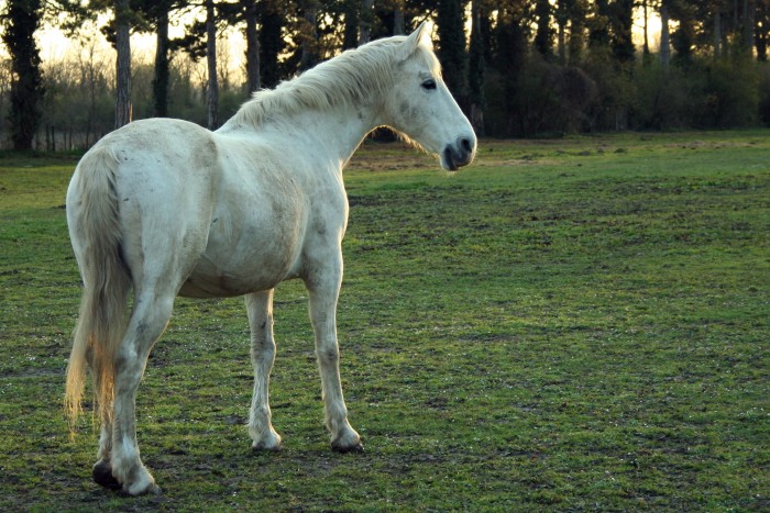 Photo de profil de neige17