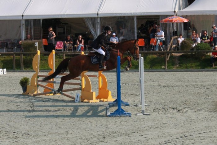 Photo de profil de pollyponey