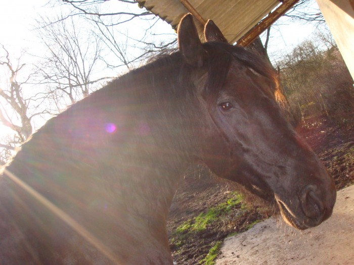 Photo de profil de athenadubailly