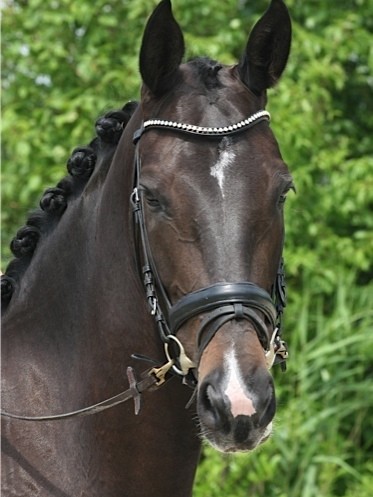 Photo de profil de romanaleva