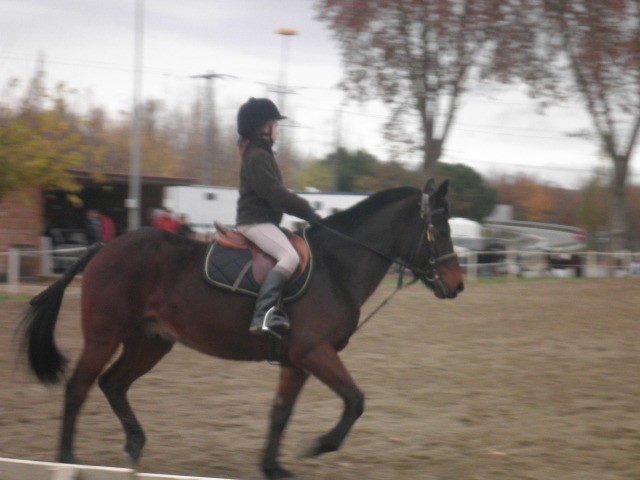 Photo de profil de emma916