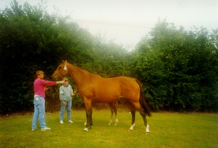 Photo de profil de philalli